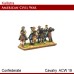 Confederate Cavalry