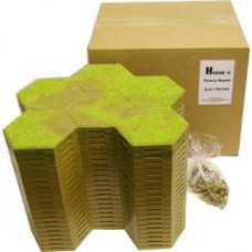 HEXON II Box Set - GREEN/EARTH